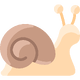 snail